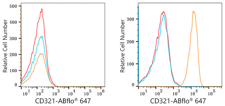 ABflo® 647 Rabbit anti-Human JAM-A/CD321/F11R mAb
