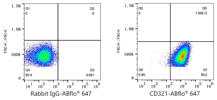 ABflo® 647 Rabbit anti-Human JAM-A/CD321/F11R mAb