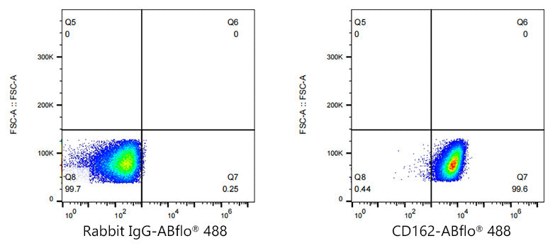 ABflo® 488 Rabbit anti-Human CD162/PSGL-1 mAb