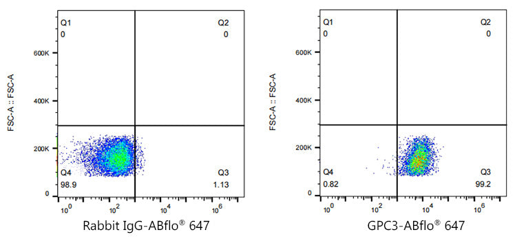 ABflo® 647 Rabbit anti-Human Glypican 3 (GPC3) mAb