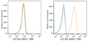 ABflo® 488 Rabbit anti-Human CD166/ALCAM mAb