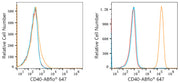 ABflo® 647 Rabbit anti-Human CD40 mAb