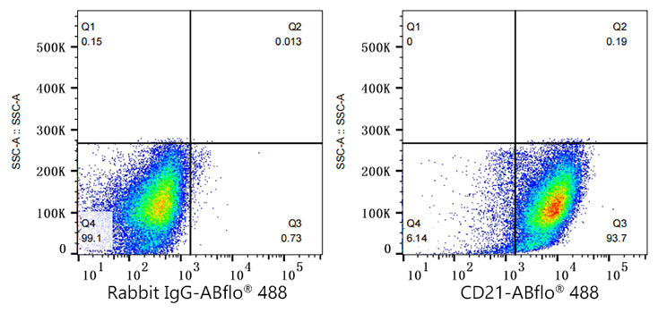 ABflo® 488 Rabbit anti-Human CR2/CD21 mAb