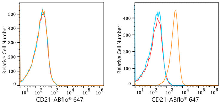 ABflo® 647 Rabbit anti-Human CR2/CD21 mAb