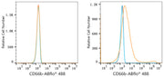 ABflo® 488 Rabbit anti-Human CD66b mAb