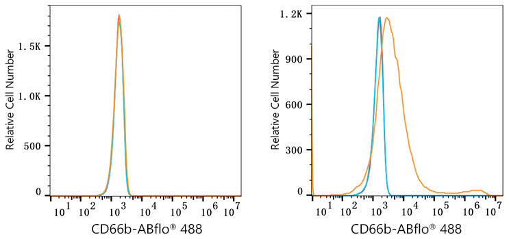 ABflo® 488 Rabbit anti-Human CD66b mAb