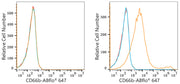 ABflo® 647 Rabbit anti-Human CD66b mAb