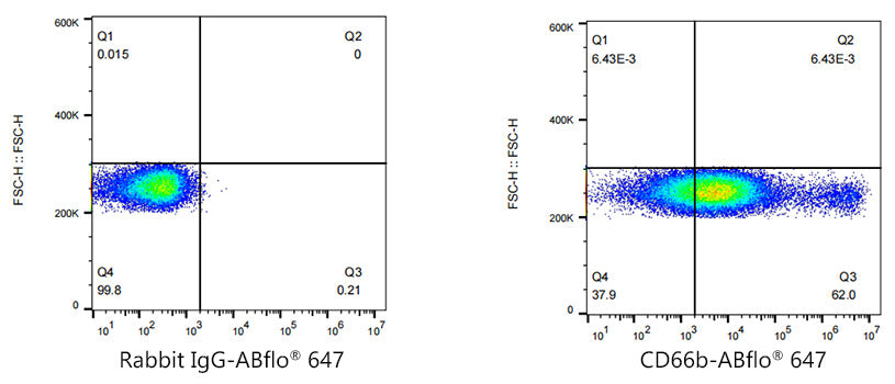 ABflo® 647 Rabbit anti-Human CD66b mAb