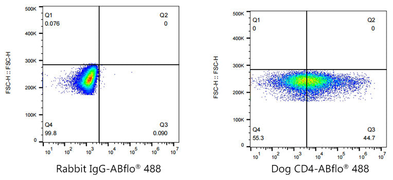 ABflo® 488 Rabbit anti-Dog CD4 mAb