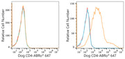 ABflo® 647 Rabbit anti-Dog CD4 mAb