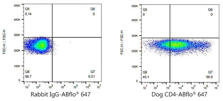 ABflo® 647 Rabbit anti-Dog CD4 mAb