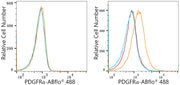 ABflo® 488 Rabbit anti-Human/Mouse PDGFRα/CD140a mAb