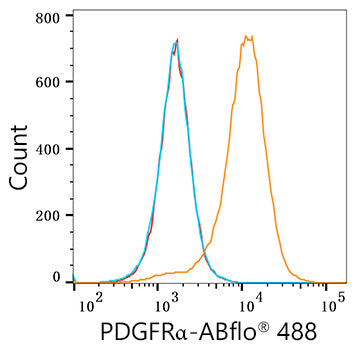 ABflo® 488 Rabbit anti-Human/Mouse PDGFRα/CD140a mAb