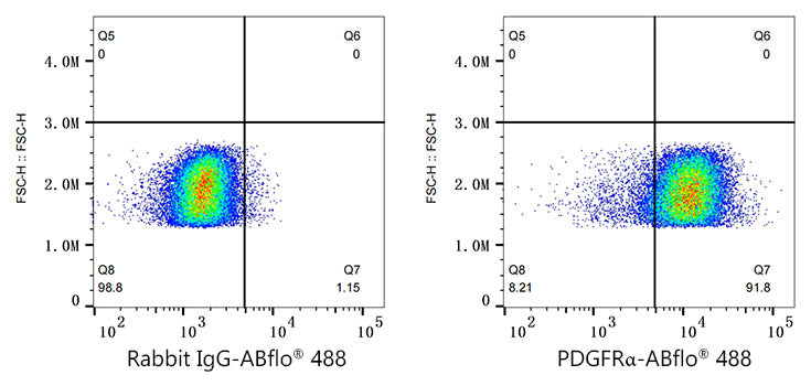 ABflo® 488 Rabbit anti-Human/Mouse PDGFRα/CD140a mAb