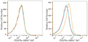 ABflo® 647 Rabbit anti-Human/Mouse PDGFRα/CD140a mAb