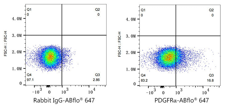 ABflo® 647 Rabbit anti-Human/Mouse PDGFRα/CD140a mAb