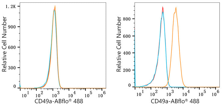 ABflo® 488 Rabbit anti-Human ITGA1/CD49a mAb