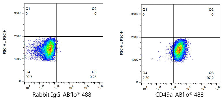 ABflo® 488 Rabbit anti-Human ITGA1/CD49a mAb