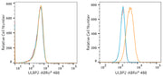 ABflo® 488 Rabbit anti-Human ULBP2 mAb