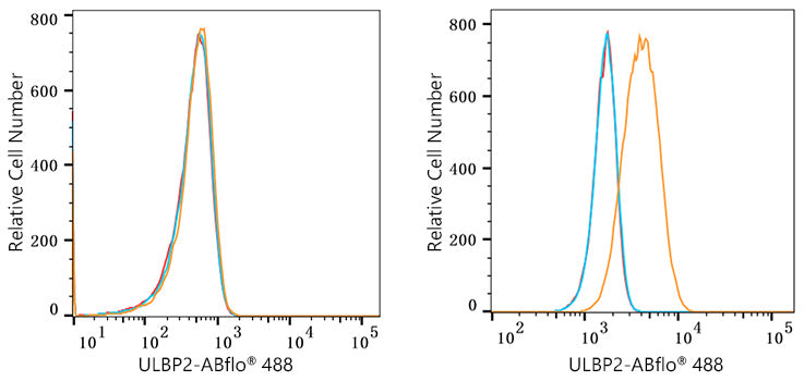 ABflo® 488 Rabbit anti-Human ULBP2 mAb