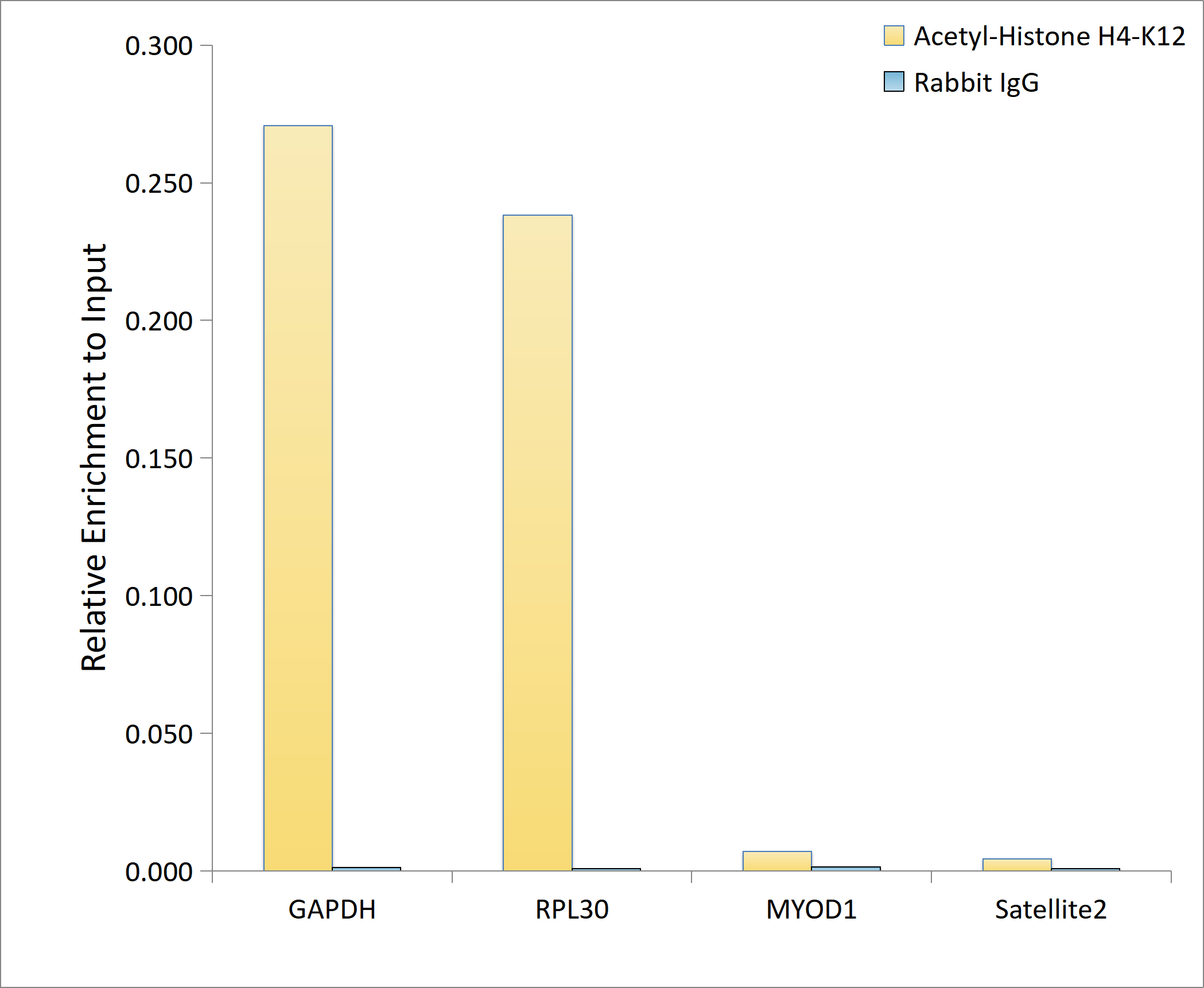 Acetyl-Histone H4-K12 Rabbit mAb
