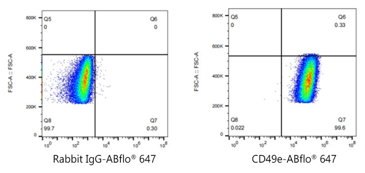 ABflo® 647 Rabbit anti-Human/Mouse Integrin alpha 5 (ITGA5/CD49e) mAb