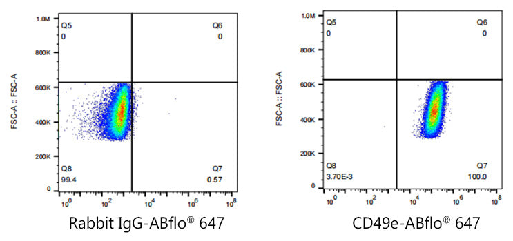 ABflo® 647 Rabbit anti-Human/Mouse Integrin alpha 5 (ITGA5/CD49e) mAb