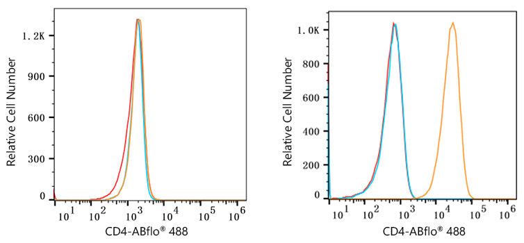 ABflo® 488 Rabbit anti-Human/Monkey CD4 mAb