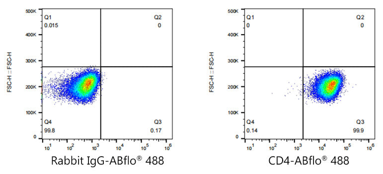 ABflo® 488 Rabbit anti-Human/Monkey CD4 mAb