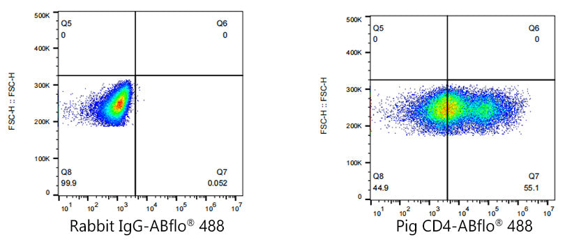 ABflo® 488 Rabbit anti-Pig CD4 mAb