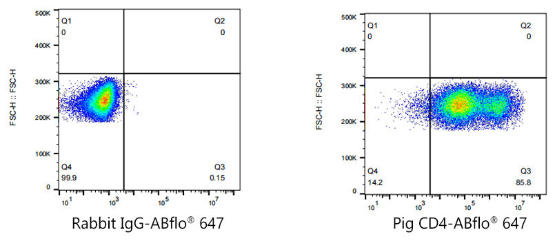 ABflo® 647 Rabbit anti-Pig CD4 mAb