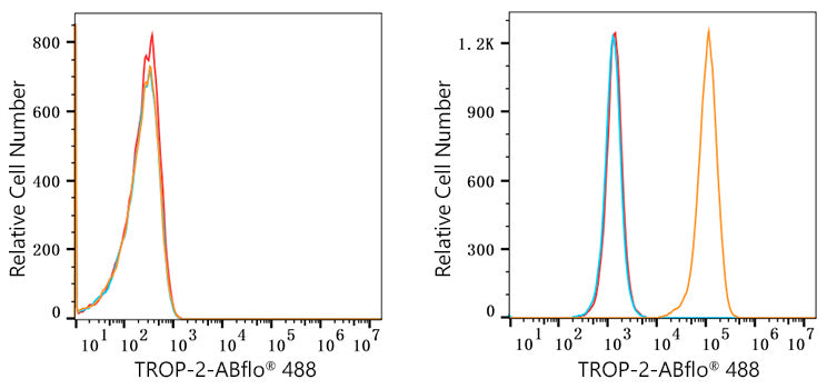 ABflo® 488 Rabbit anti-Goat IgG (Fc) fragment mAb