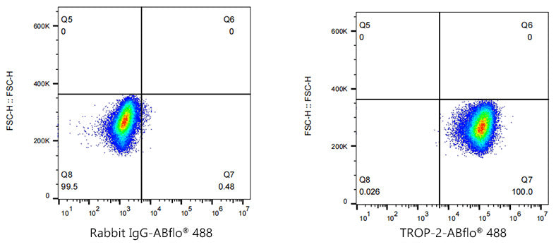 ABflo® 488 Rabbit anti-Goat IgG (Fc) fragment mAb