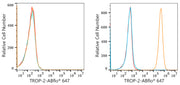 ABflo® 647 Rabbit anti-Goat IgG (Fc) fragment mAb