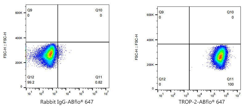ABflo® 647 Rabbit anti-Goat IgG (Fc) fragment mAb