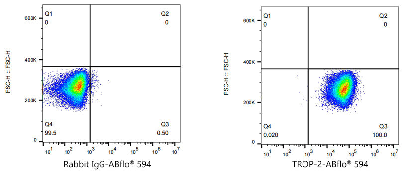 ABflo® 594 Rabbit anti-Goat IgG (Fc) fragment mAb