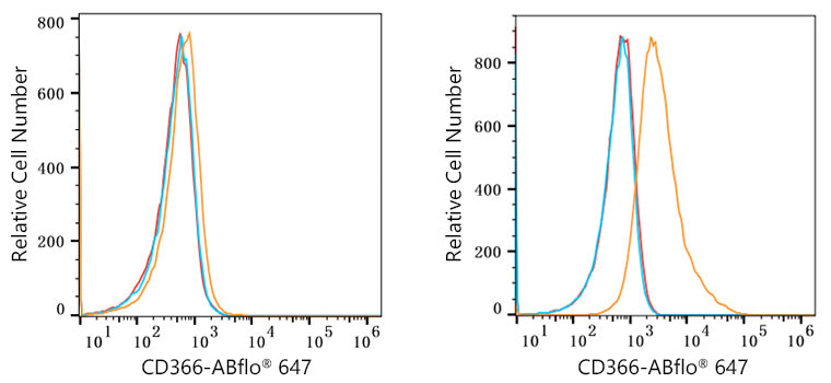 ABflo® 647 Rabbit anti-Mouse CD366 (TIM-3) mAb