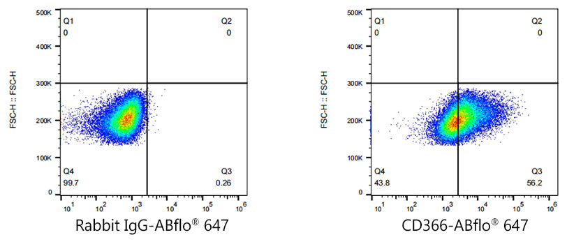 ABflo® 647 Rabbit anti-Mouse CD366 (TIM-3) mAb