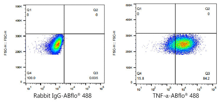 ABflo® 488 Rabbit anti-Human TNF-α mAb