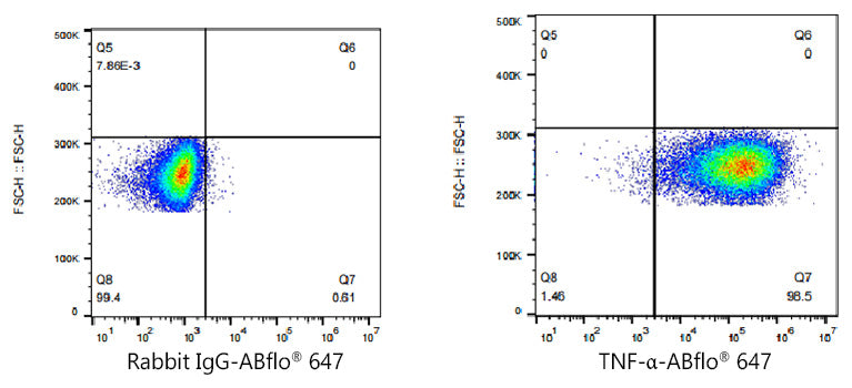 ABflo® 647 Rabbit anti-Human TNF-α mAb