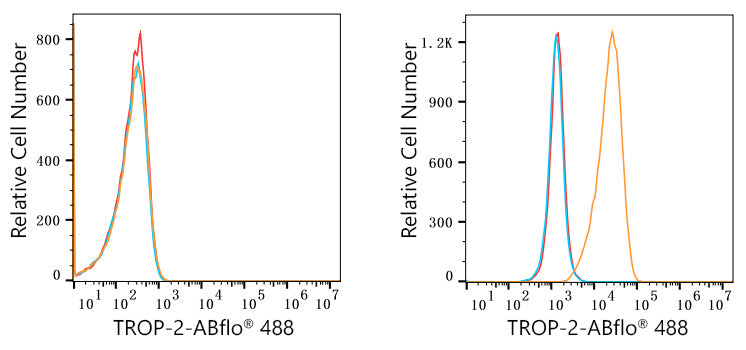 ABflo® 488 Rabbit anti-Goat IgG (Fab) fragment mAb