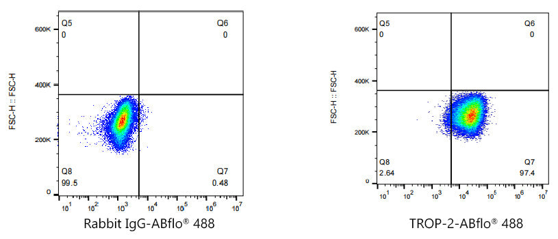 ABflo® 488 Rabbit anti-Goat IgG (Fab) fragment mAb