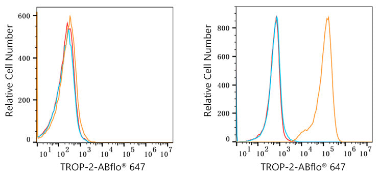 ABflo® 647 Rabbit anti-Goat IgG (Fab) fragment mAb