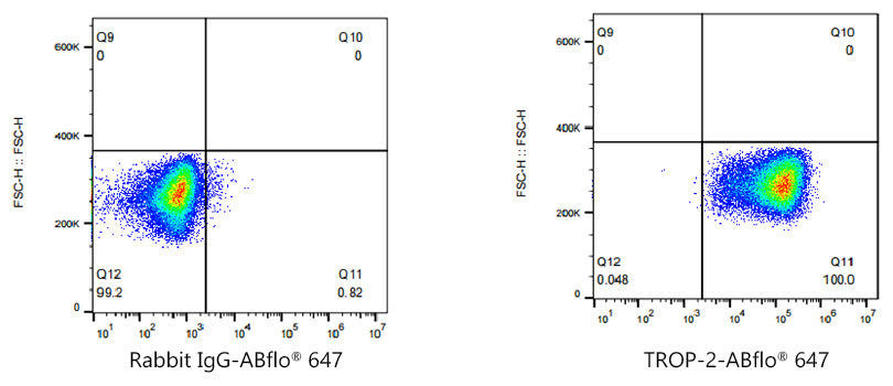 ABflo® 647 Rabbit anti-Goat IgG (Fab) fragment mAb
