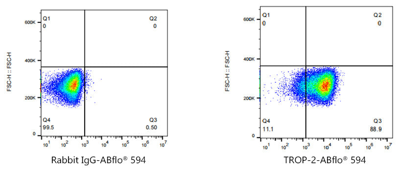 ABflo® 594 Rabbit anti-Goat IgG (Fab) fragment mAb