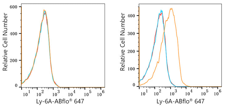 ABflo® 647 Rabbit anti-Mouse Ly-6A/E (Sca-1) mAb
