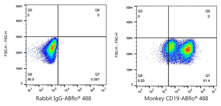 ABflo® 488 Rabbit anti-Human/Monkey CD19 mAb