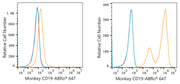 ABflo® 647 Rabbit anti-Human/Monkey CD19 mAb