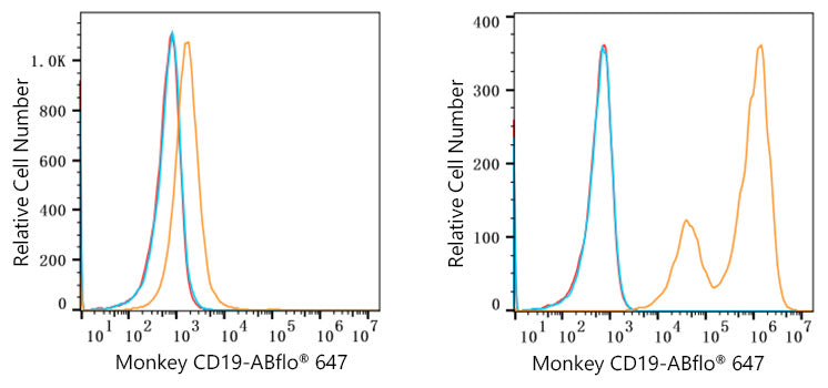 ABflo® 647 Rabbit anti-Human/Monkey CD19 mAb