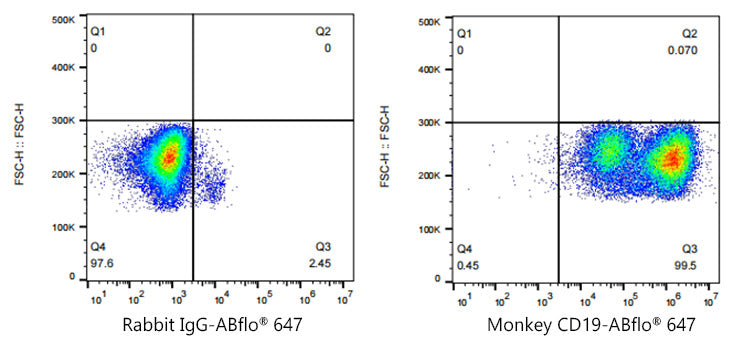 ABflo® 647 Rabbit anti-Human/Monkey CD19 mAb